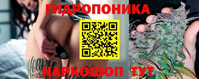 амфетамин Гатчина