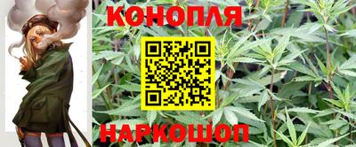 каннабис Гай